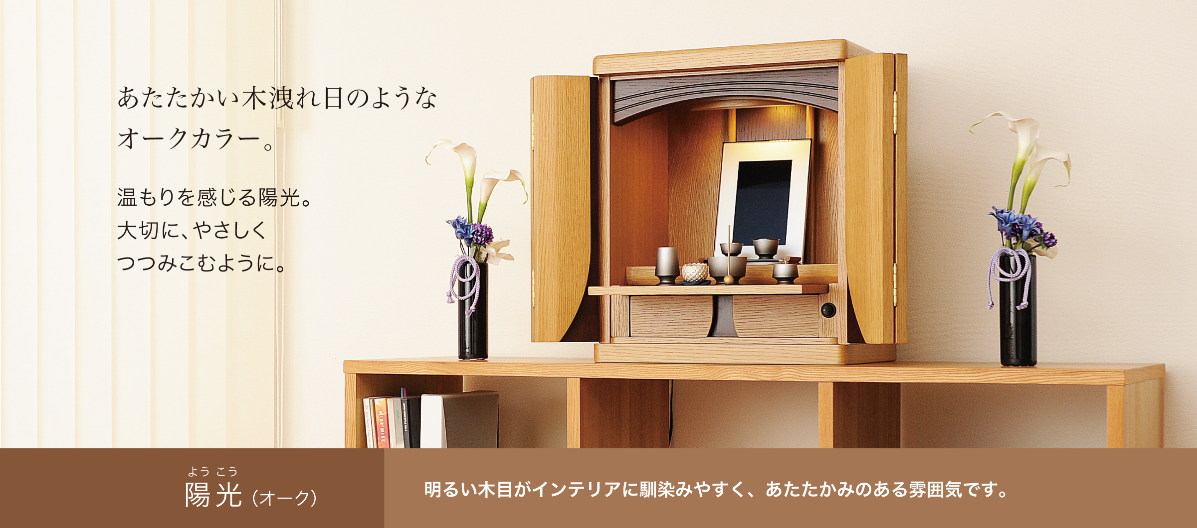 陽光(オーク)